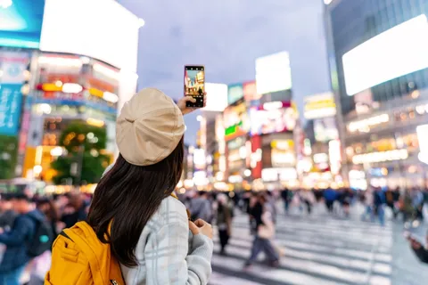 地域観光ツアー
